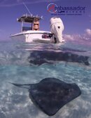natstingray3.jpg