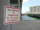 19AUG2012 059.jpg