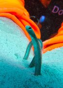 IMG_0930.jpg