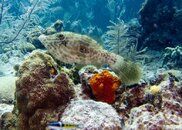 IMG_0988.jpg