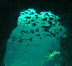 Sept 8 minnow Caves copper sweepers.jpg