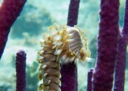 IMG_0954.jpg