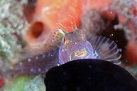 IMG_0691wa.jpg