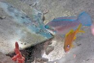 IMG_0773wa mirror.jpg