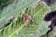 IMG_0782wb.jpg