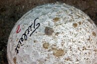 IMG_0837wb barnicle.jpg