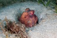 IMG_0889wb.jpg
