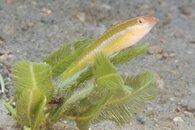IMG_0988wa.jpg