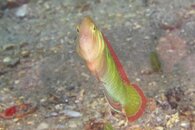 IMG_1012wa.jpg