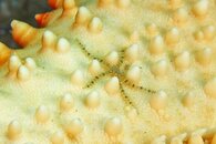 IMG_1107wa.jpg