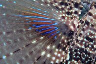 IMG_1112wa.jpg