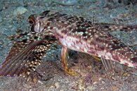 IMG_1135wa.jpg