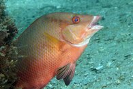 IMG_1207wa.jpg