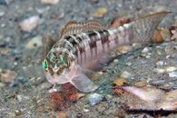 IMG_1210wa.jpg