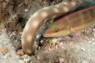 IMG_1284wa.jpg