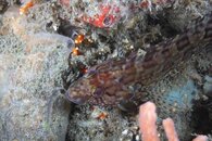 IMG_1320wa.jpg