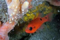 IMG_1335wa.jpg