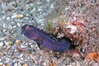 IMG_1377wa.jpg