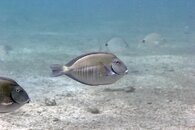 IMG_1387wa.jpg