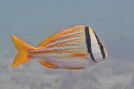 IMG_1388wa.jpg