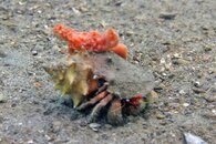 IMG_1403wa.jpg