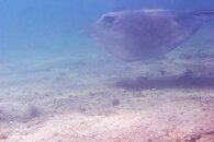 IMG_1416wa.jpg