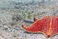 IMG_1426wa.jpg