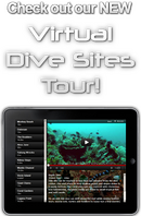 puerto-galera-dive-sites1.png