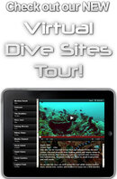 puerto-galera-dive-sites1.jpg