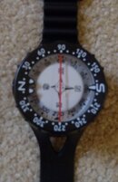 Compass2.JPG