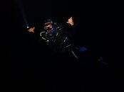 IMG_8485.jpeg