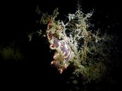 IMG_9112.jpeg