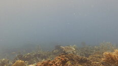 MICR0399.JPG