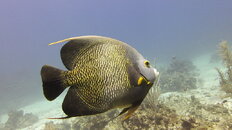 MICR0570.JPG