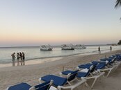 IMG_6343.jpg