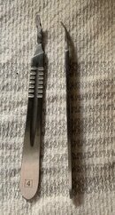 IMG_3881.jpeg