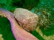 IMG_8566.jpeg