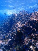 IMG_8651.jpeg