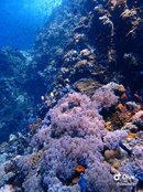 IMG_8652.jpeg