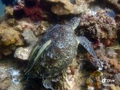 IMG_8610.jpeg