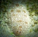 IMG_8475.jpeg