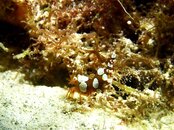 IMG_8479.jpeg