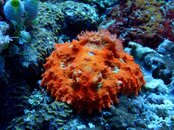 IMG_8388.jpeg