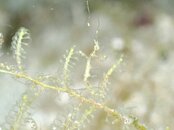 IMG_8392.jpeg
