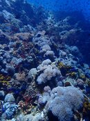 IMG_8536.jpeg
