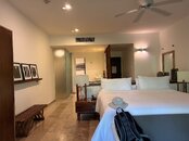 IMG_6655.jpeg
