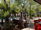 IMG_6832.jpeg