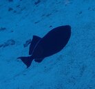 IMG_2768.jpeg