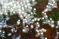 IMG_2761.jpeg