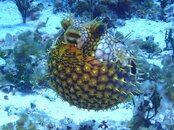 IMG_2719.jpeg